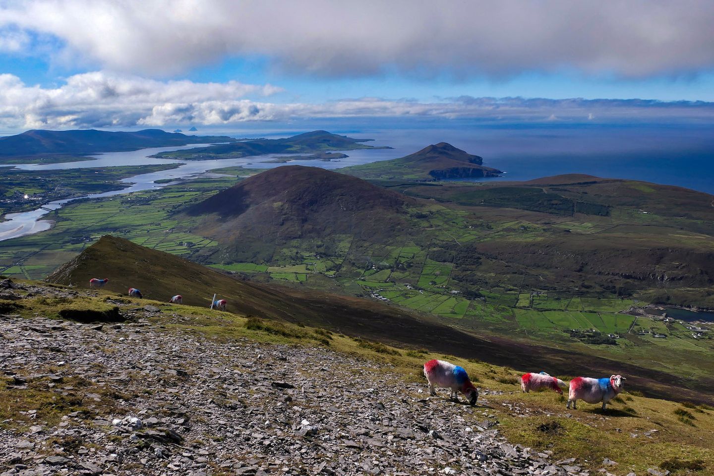 Cnoc na dTobar